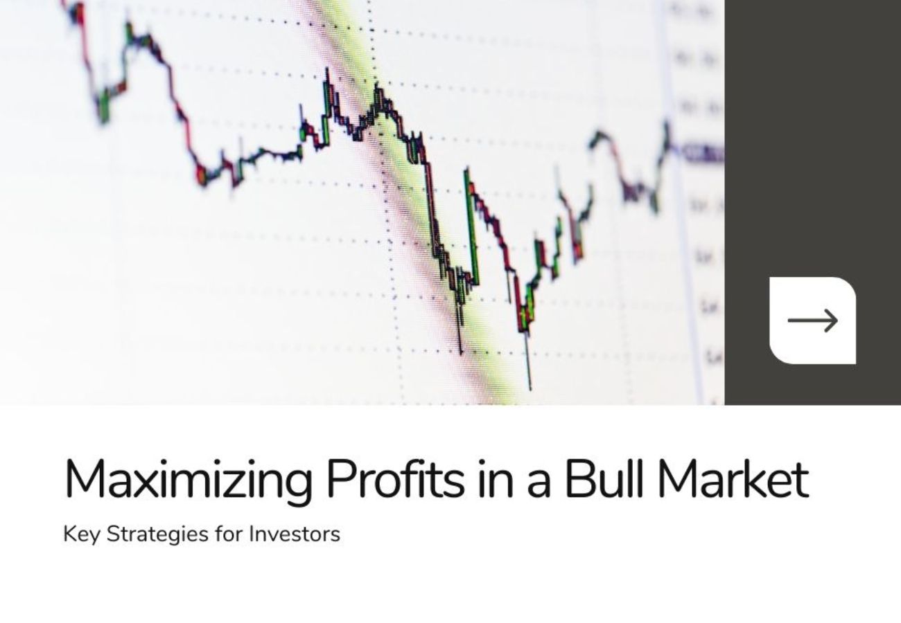 Investment Fundamentals in a Bull Market