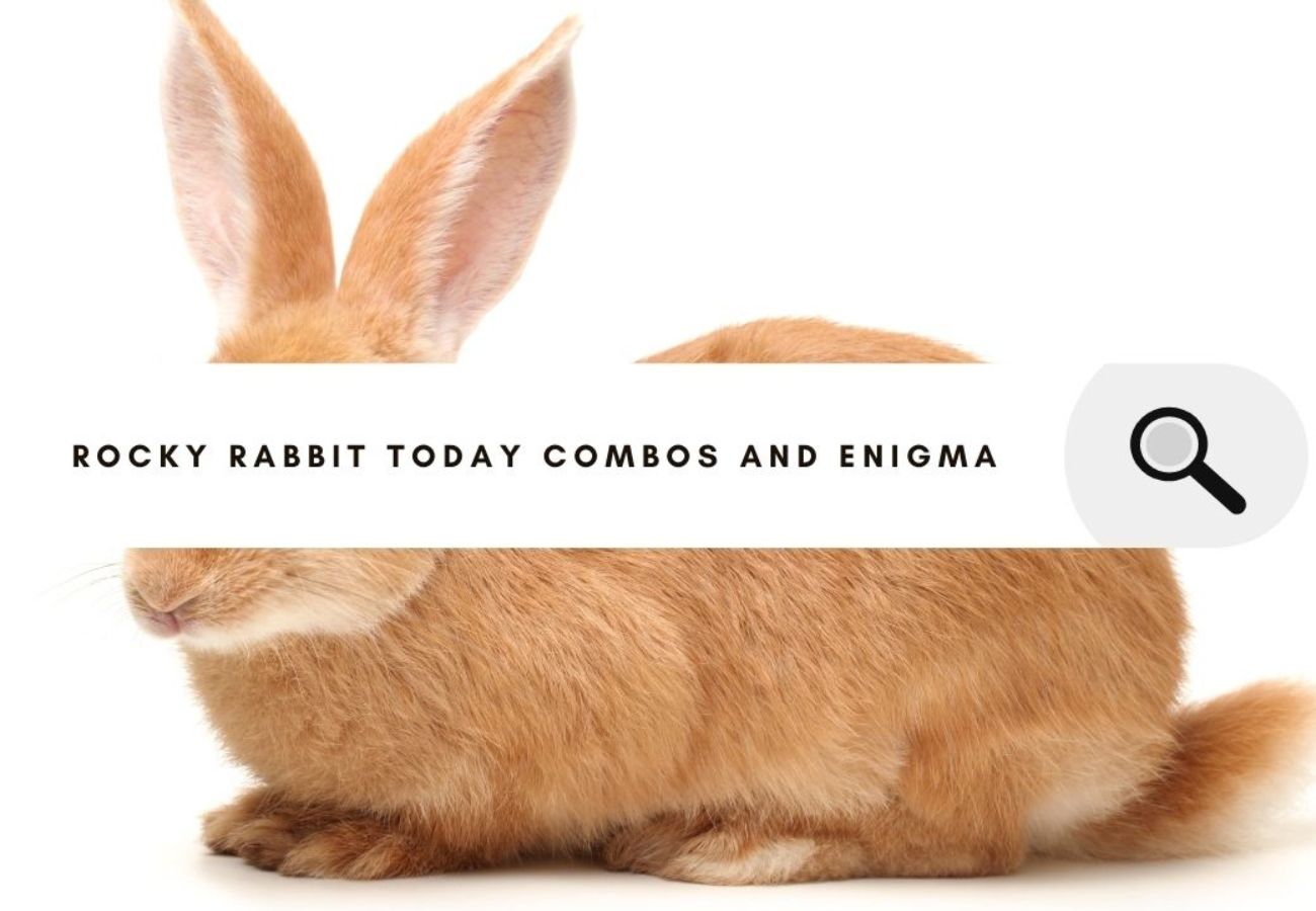 Rocky Rabbit Today Combos and Enigma