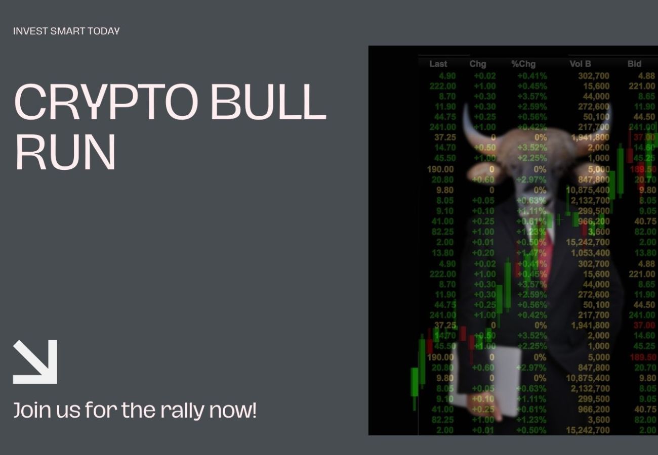 The Crypto Bull Run